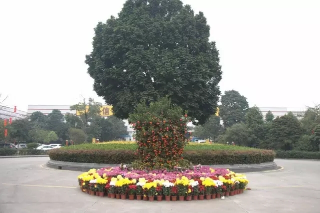 Ե-ٷվ