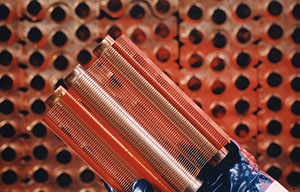 不朽情缘-官方网站